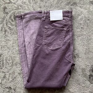 Loft Skinny High Rise Lavender Velvet Pants